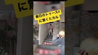 【モニタリング出演】春日のトゥースに驚くヒカル#ヒカル #ヒカル切り抜き #モニタリング #春日 #shorts