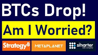 Bitcoin Treasury Companies Are Dropping! MSTR -2%, MetaPlanet -10%, Smarter Web -17%! Am I Worried?