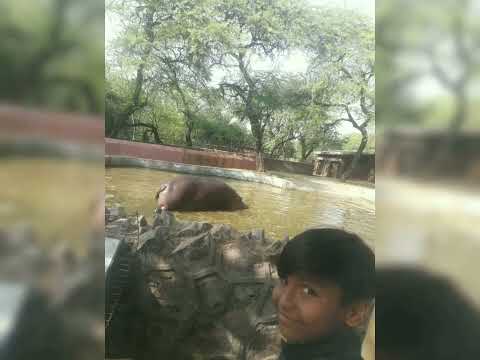 Delhi Zoo.....👍🏻✌