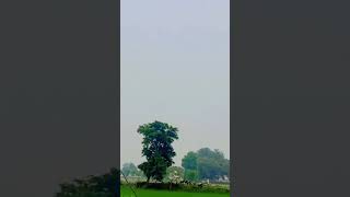 ye gau hai sahb