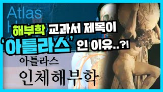 "해부학 교과서📖 제목이 아틀라스🌍 신인 이유는?!" - 해부해부러