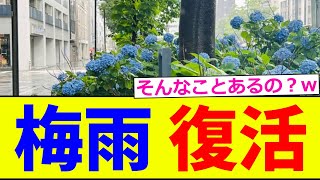 【衝撃】梅雨、復活www【2chまとめ】【2chスレ】【5chスレ】