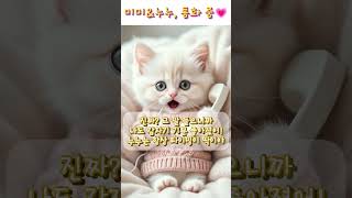 [미미&누누 감성 통화] Ep.2 “비 오는 날, 더 그리웠어” | 감성 한국어 표현 배우기