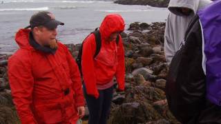 Professor Brian Penney, Marine Ecologist