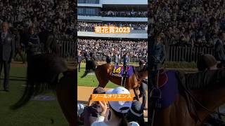 【ソールオリエンス2023菊花賞】☝️💩でてますよっっ