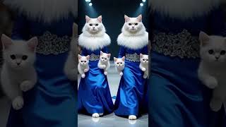 Two Cats with Babies #cat #cutecats #catwalktour #baby