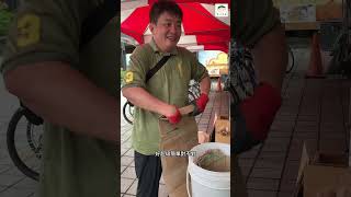 落葉膠囊DIY