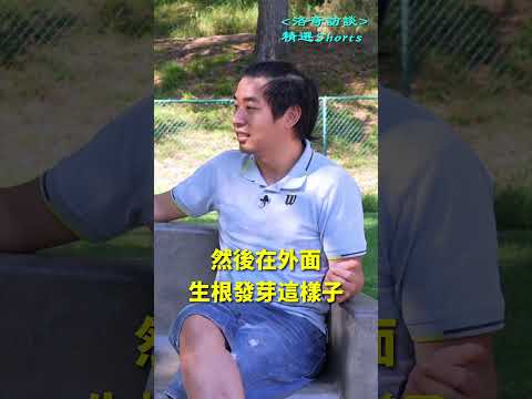 福建人移民有多堅決？不愧是唯一全球"免簽"的省份┃洛奇精選Shorts