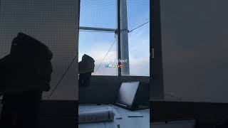 study at school