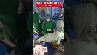 Ovum Pickup Procedure in IVF by Dr Rakshita Malik #doctor #ivfdoctor #medicaldoctor #mbbs #ivf