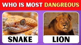 Most dangerous animal quiz | quiz video