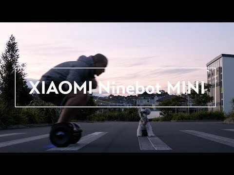 Xiaomi Ninebot mini + Schmettie