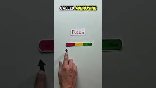 Beat the Toppers with This NASA Backed Focus Hack #studywithmeandmycat #studytips #study
