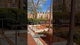 Success One Day You'll Thank Yourself for Not Giving Up | Johns Hopkins Walk #shorts #short #success
