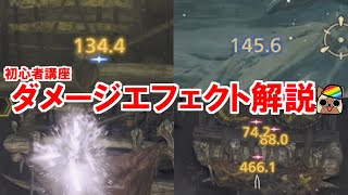 【初心者講座】ダメージのエフェクト解説　モンハンワイルズWilds