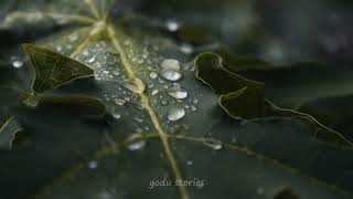 MAZHAYE THOOMAZHAYE........ 🌧️|| LOFI WHATSAPP STATUS MALAYALAM🌧️ || godu stories🍒||#sneakybro