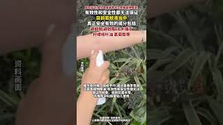 驅蚊液該如何選？目前驅蚊液當中，真正安全有效的成分包括避蚊胺、避蚊酯、派卡瑞丁、檸檬桉葉油、氯菊酯等。（紅星新聞）
