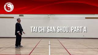 Tai Chi San Shou, Part A AKA Section 7
