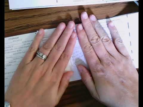 Cell Structure & Function Accordion Book directions