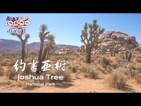 环美自驾一万英里第1天—自驾加州约书亚树国家公园Joshua tree national park California Day 1 Road Trip in USA 4K