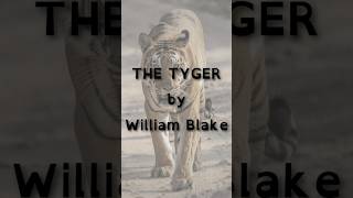 The Tyger by William Blake - Poetry Reading