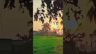 #quran #islam360 #imamrezaas #shiasunniunity #snow #village #nasheed