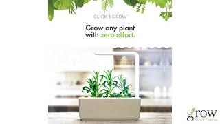 Indoor Smart Gardens