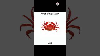 English quiz challenge part 873 #quiz