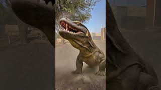 What did the monkey put into the Komodo dragon’s mouth?