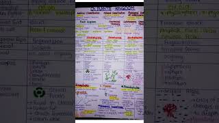 short notes for plant kingdom #neet #2026 #biology #biologyclass12 #science #neetpreparation