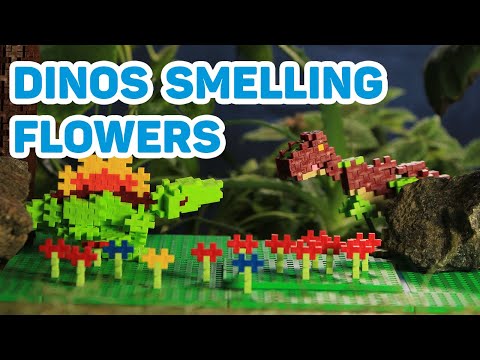 Plus-Plus T-rex smells flowers - Stop Motion Video