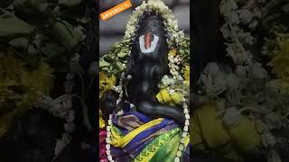 படையல் வைத்து பூஜை செய்தோம் எங்கள் கணநாதா #வினாயகர் #பிள்ளைப்பாடல்கள் #கணேசன் #ஆன்மீகம்