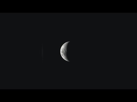 TERECO WIZ - "19" | OFFICIAL LYRICAL VIDEO | 2024 | R&B LOFI SONG