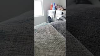 Ruggable! Wash that rug!