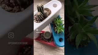 你快樂嗎? 種 多 肉 很 快 樂 ! #盆栽 #植栽 #器皿 #多肉植物 #居家擺設