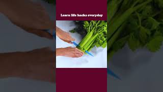 (CLICK THE LINK IN THE DESCRIPTION) WATCH TILL THE END #LIFEHACKS #LIFETIPS #LIFETRICKS #TIPSTRICKS