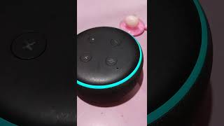 #techbuddy