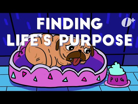 There Must Be More To Life Than This – A Dog's Life