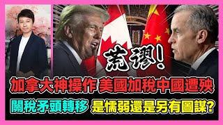 加拿大神操作 美國加稅中國遭殃 關稅矛頭轉移 是懦弱還是另有圖謀? / 香港青年 小明
