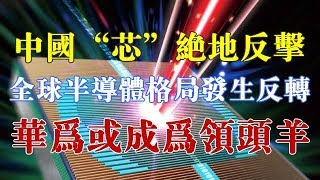 中国“芯”绝地反击，全球半导体格局发生反转，华为或成为领头羊 【一号哨所】