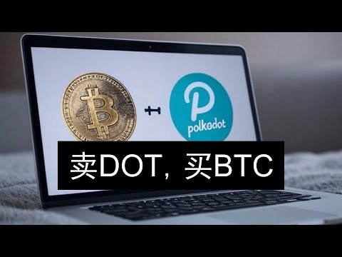 山寨幣金庫新趨勢：賣Dot，買比特幣