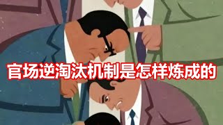 官场逆淘汰机制是怎样炼成的