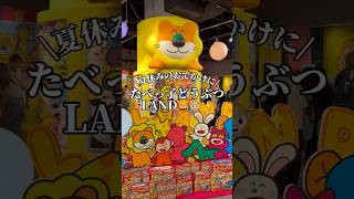 たべっ子どうぶつランド🦁✨#たべっ子どうぶつ #たべっ子どうぶつランド#横浜#横浜デート