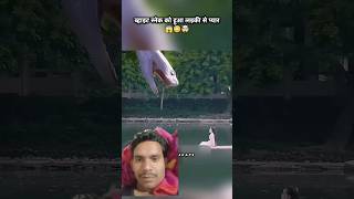 व्हाइट स्नेक को हुआ लड़की से प्यार 😱😳🤯  #shorts #drama #tending