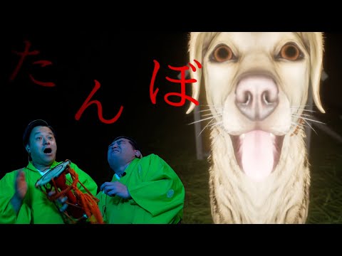 【ホラー】愛犬と夜の田んぼを散歩するゲーム【たんぼ】