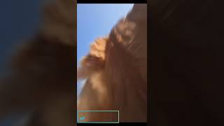 Respect this videos #respect #respectrection #respect999
