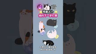 🔮愛情占卜💜【他的下一步打算】 💜#喵黛麗塔羅