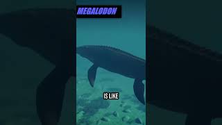 MEGALODON vs MOSASAURUS | Jurassic World Evolution 2 Size Comparison! #JurassicWorld