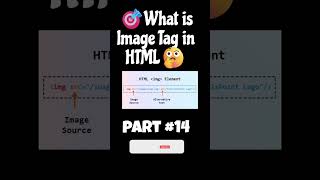 What is Image Tag in HTML? 🖼️ | Quick & Easy Guide #shorts   #coding #webdevelopment #programming