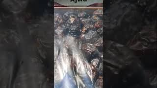 BUAH KURMA AJWA MADINAH #shortsviral #shortsbuah #buahkurma